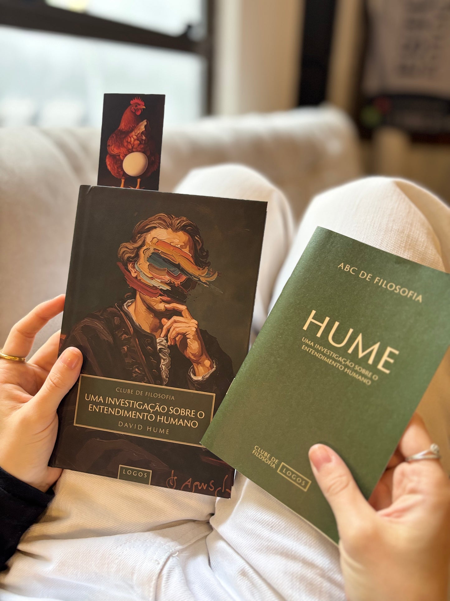 BOX 04: Uma Investigação sobre o Entendimento Humano - David Hume