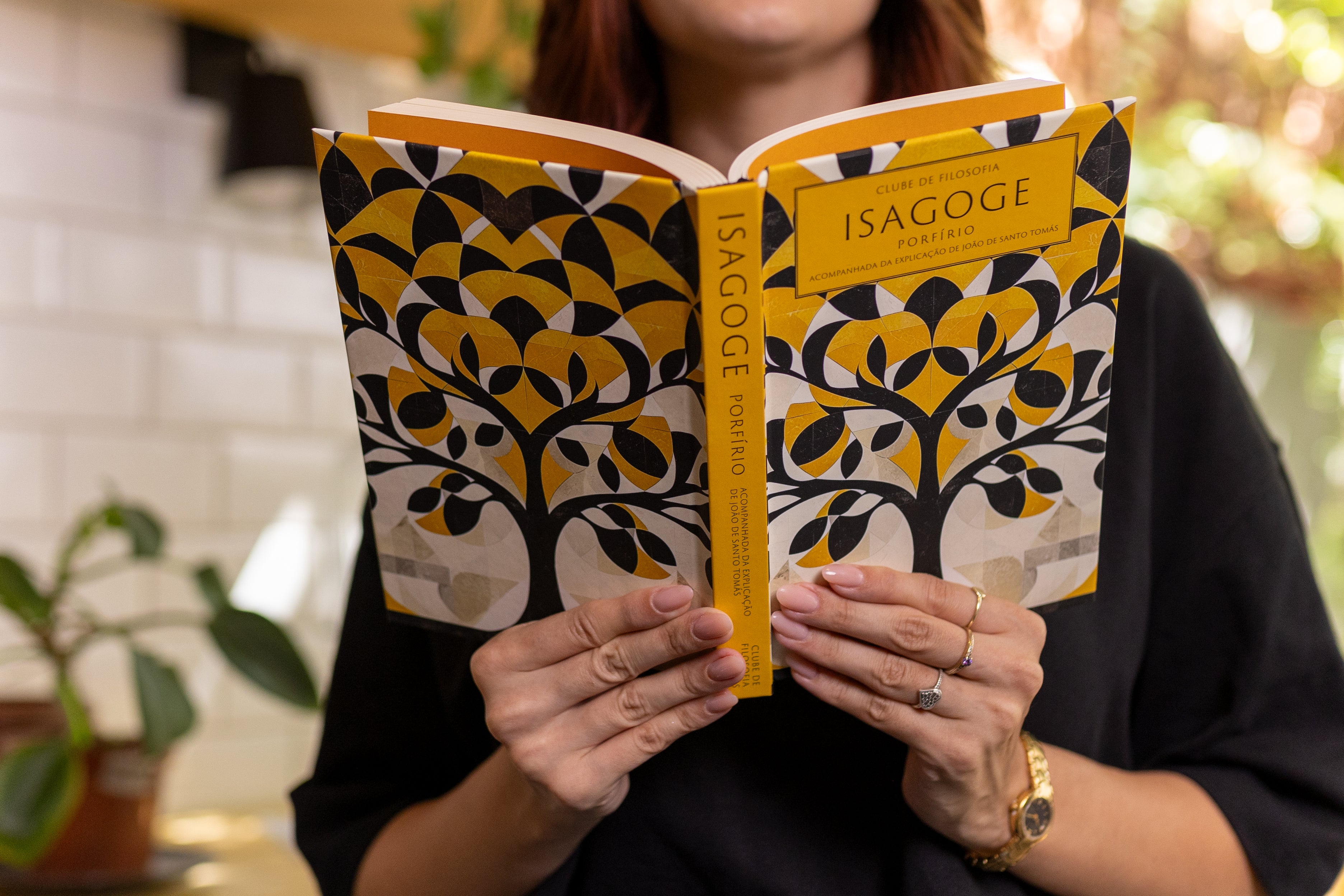 BOX 01: Isagoge - Porfírio